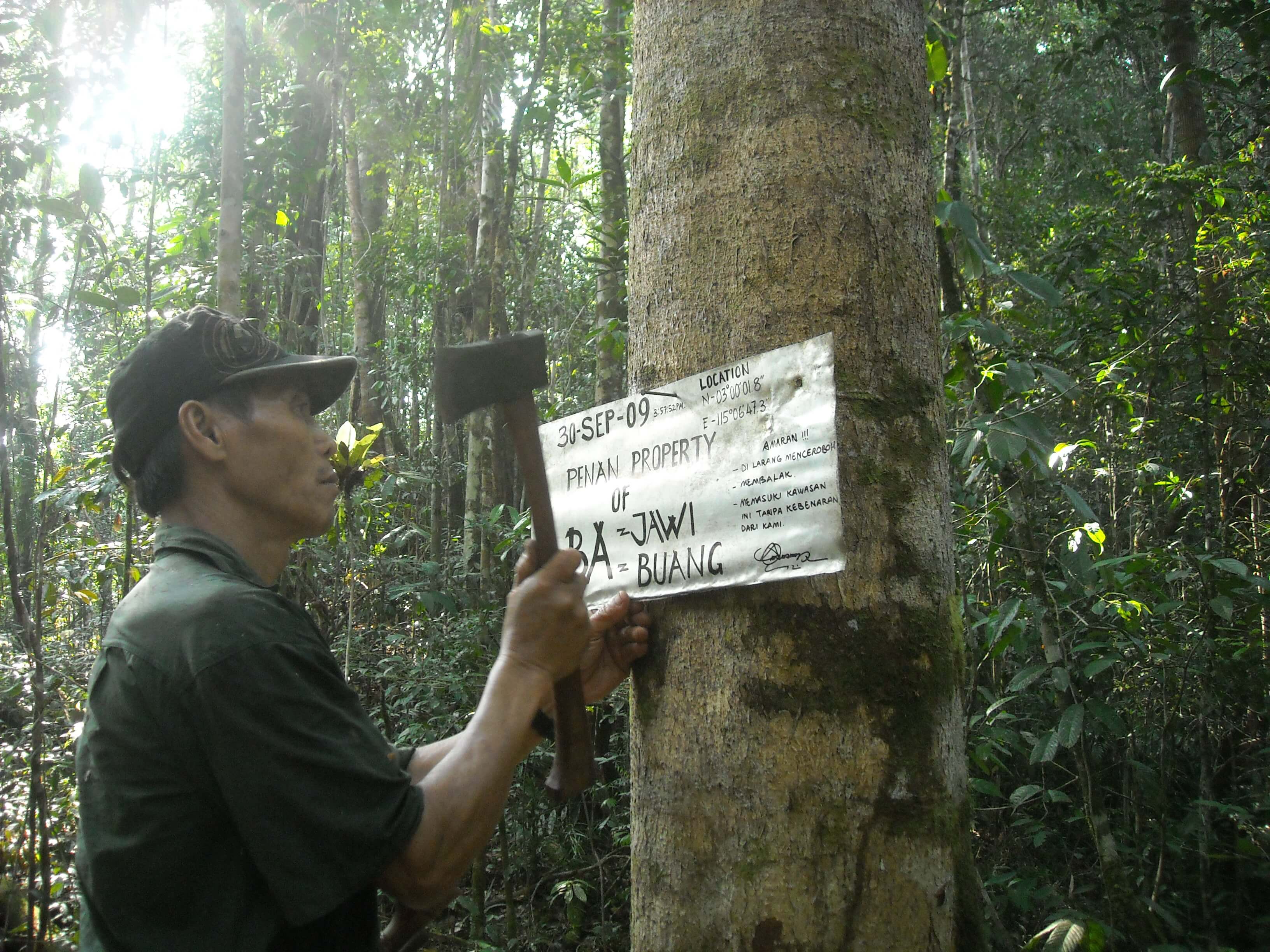 Ein Penan markiert sein Land, um seinem Anpsuch Gewicht zu verleihen